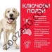 Hills Science Plan Canine Adult - с пилешко, храна за кучета от едри породи 14 кг.