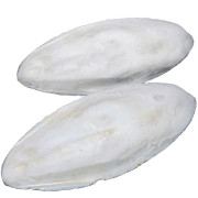 Сепийна кост за влечуги, 100 гр. - Dragon VIT