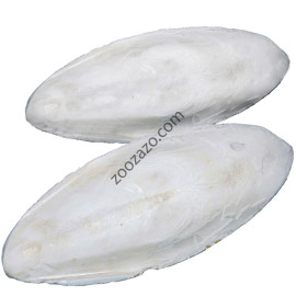 Сепийна кост за влечуги, 100 гр. - Dragon VIT