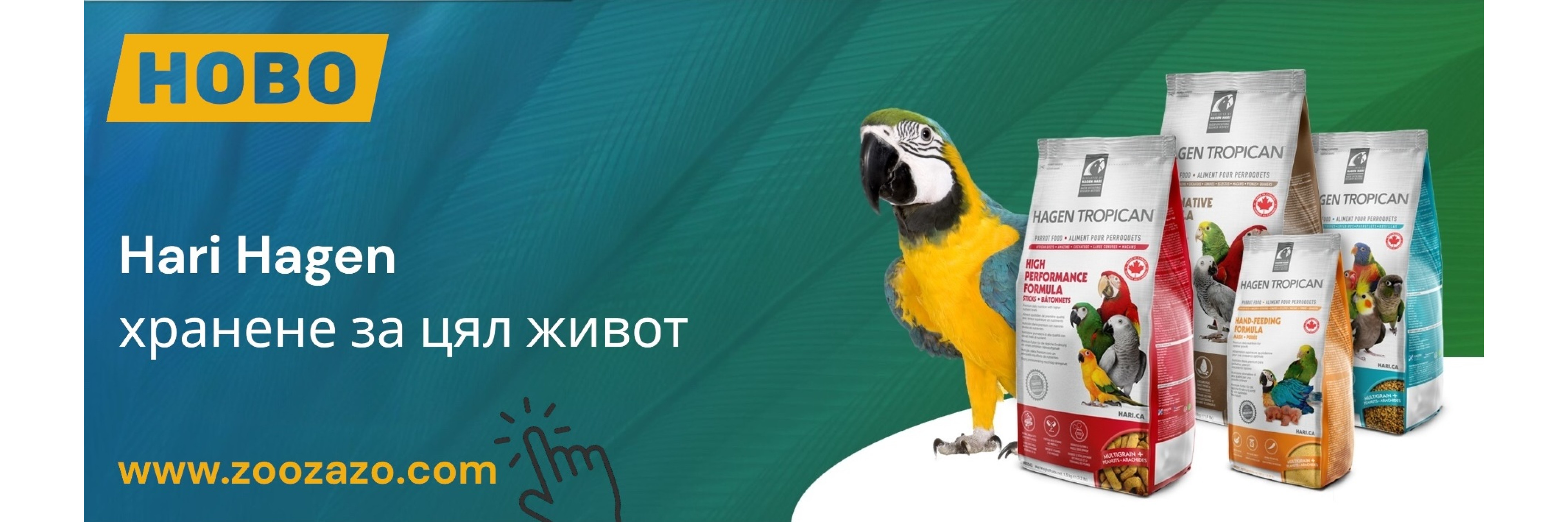 Hari-Tropican-zoozazo.com