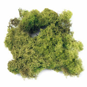 Екологичен субстрат от мъх за терариуми, зелен 60 гр. - Dragon Island Moos