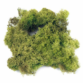 Екологичен субстрат от мъх за терариуми, зелен 60 гр. - Dragon Island Moos