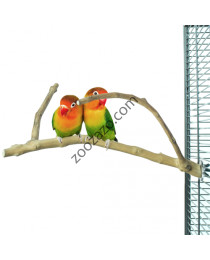 Eстествена кацалка от Java дърво за папагали и други птици, Ø 1-3 см. - Back Zoo Nature Java Multi Perch Small