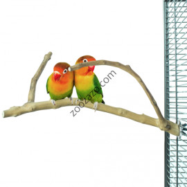 Eстествена кацалка от Java дърво за папагали и други птици, Ø 1-3 см. - Back Zoo Nature Java Multi Perch Small