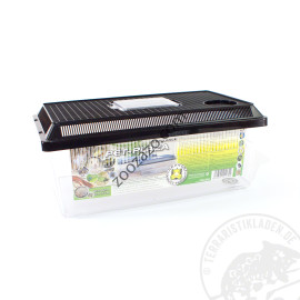 Пластмасов Терариум, 36,5 x 22 x 15 cм. - Dragon PET-PLAZA Flat Large