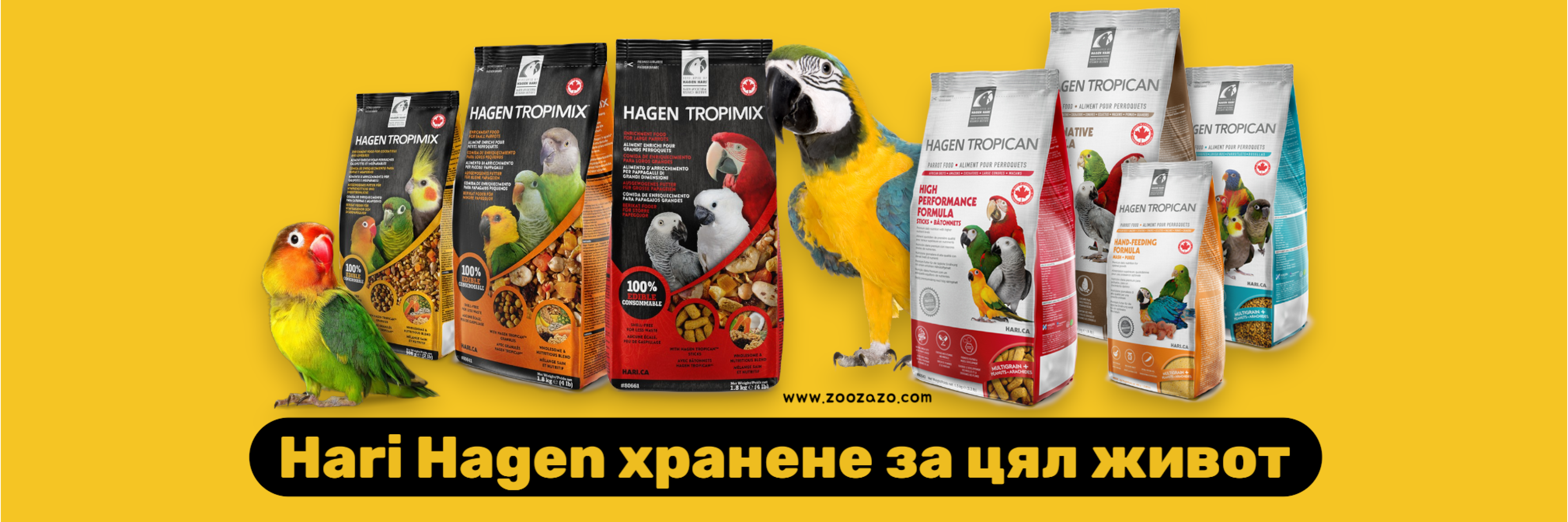 Hari-hagen-zoozazo.com