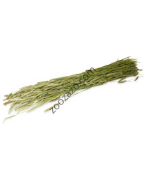 Тимотейка за зайци и гризачи, 80 гр. - JR FARM Timothy Harvest