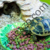 Храна за сухоземни костенурки с плодове и цветя 170 гр. - Fruit & Flower Flavour Tortoise Diet