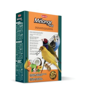 Мека храна с плодове и яйца за Канари и други птички 300 гр. - Padovan Mélange fruit