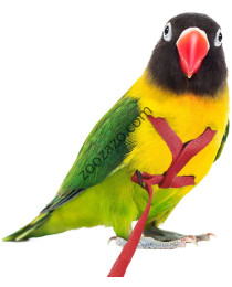 Нагръдник за Папагал, 75-110 гр. - Outdoor Bird Harness XXS
