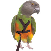 Нагръдник за Папагал, 110-190 гр. - Outdoor Bird Harness XS Нагръдник за Папагал, 110-190 гр. - Outdoor Bird Harness XS