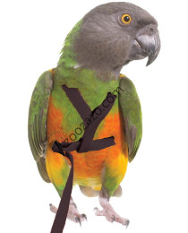 Нагръдник за Папагал, 110-190 гр. - Outdoor Bird Harness XS