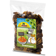 Протеиново лакомство - копринените буби за Хамстери и Мишки 40 гр. - JR FARM Silk Worms