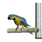 Каменна кацалка за естественото износване на ноктите и човката на Папагал, 38 х 5 см. - Super Stone Perch Каменна кацалка за естественото износване на ноктите и човката на Папагал, 38 х 5 см. - Super Stone Perch