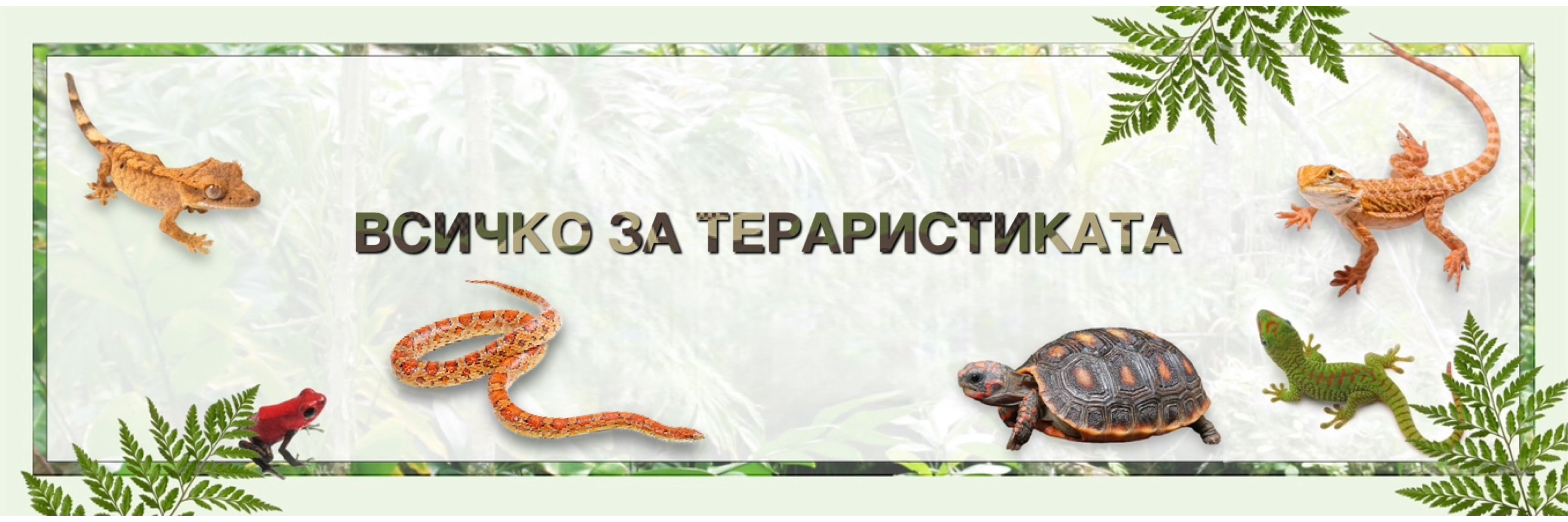 Teraristika