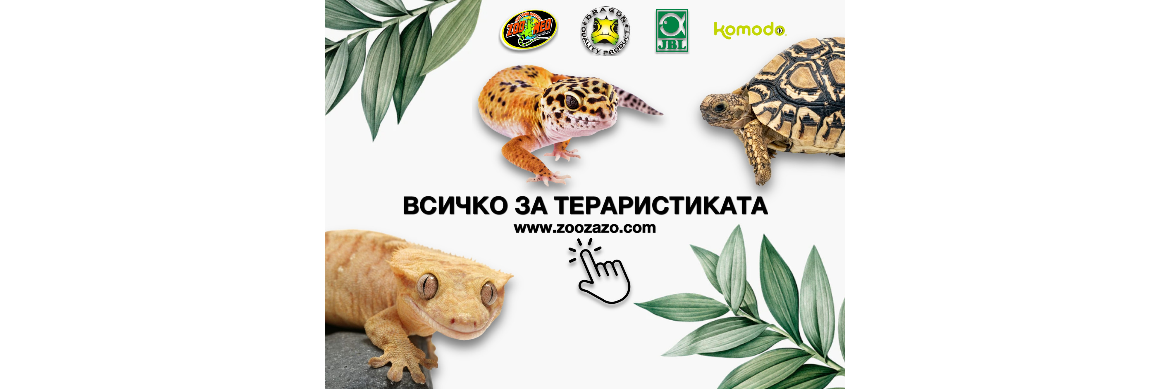 vsichko-za-teraristikata-zoozazo.com